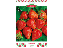 ��������� ������� ������.jpg