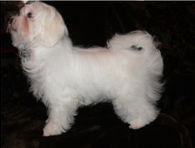 ��� 4 ������