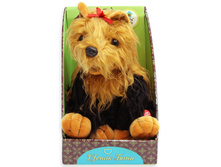 ������ �����. ����, ������, ���������������, �� ���.