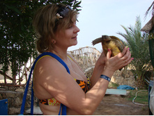 ������,2014 212.jpg