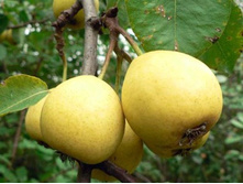 ����� ��������� � �������.jpg