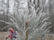 DSCN2845s.JPG