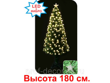 "��������", 180��