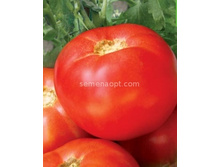 ����� ���� ������,(��) 3,30 ���. [���.14000526]