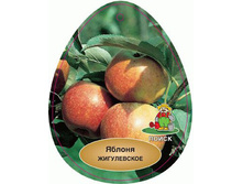 ������ ����������� � �������.jpg