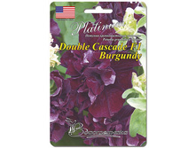 ������� �������� ���� ������ F1�������� ,(��) 23,00 ���.[���.3005068]