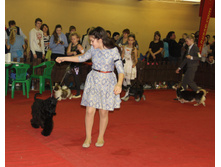 1-IMG_3939.JPG