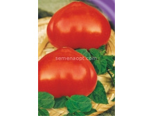 ����� ��������� ������������,(��) 6,50 ���. [���.14000704]