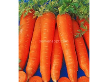 ������� ���������������� - 13,(��) 5,20 ���.[���.8000059]