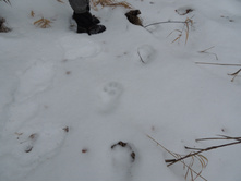 2014-11-30 10.22.18.jpg