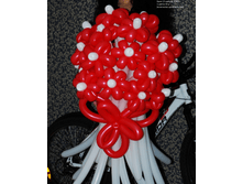 DSC_0908.png