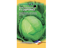 ������� ������������  ������� F1   ������ 15�� (��) 16,00 ���. [���.6000332]