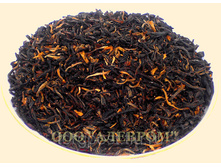 ������ ��������