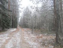 DSCN2835s.JPG
