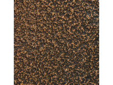 ����� ����.jpg