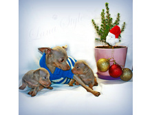 IMG_4983�� �� ��.jpg