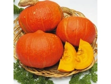 ����� ������ ���� F1,(��) 4,00 ���. [���.15000086]