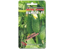 ������ �����F1 ������������������ 10��,(��) 15,00 ���. [���.10000527]