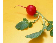 ����� ����,(��) 5,00 ���. [���.12000004]