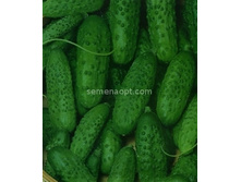 ������ ������� F1 ������������������ 10��,(��) 15,50 ���.