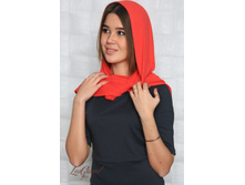 ����-�������  ����: 590 ������