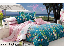 ��������� ����.jpg