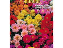 �������� ������ ����� ����������� ,(��)13,00 ���.[���.3005617]