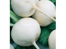 ������ ������� �����,(��) 2,70 ���. [���.9000142]