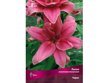 ����� �����.jpg