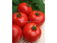 ����� �������� F1,(��) 5,30 ���. [���.14000525]