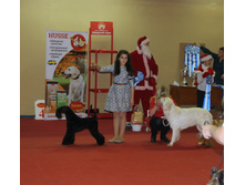 1-IMG_4005.JPG