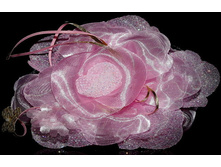 55���. ���.31�.jpg