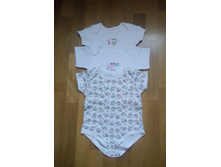 ���� (������) �������� �����