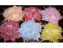 55���. ���.20.jpg