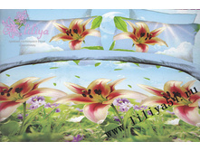 �������� ����� - ��������