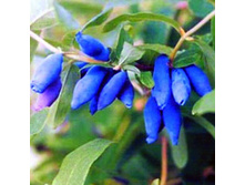 ��������� ��������� �������������.jpg