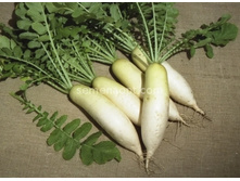 ������ ���������,(��)6,30 ���.