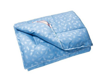 ������ - ������� ���� ��������� 0,7��. ���� �������: ���2