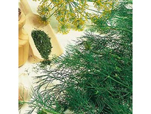 ����� ����,(��)6,00 ���. [���.1000348]