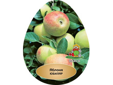 ������ ������ � �������.jpg