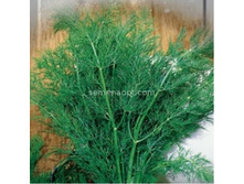 ����� ��������������,(��)3,60 ���. [���.1000137]