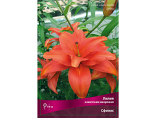 ����� ������.jpg