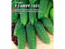 ������ ���� 1801 F1(����) 8�� ,(��) 38,00 ���. [���.10000207]