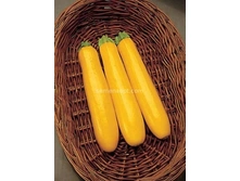 ������� ���� ��� F1������� 4�� ,(��)16,00 ���. [���.5000036]