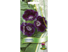 ��������� ������ F1 ���	, �������� -	5	��, ���� 	20,70	+17%