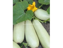 ������� ����� ��������,(��) 3,50 ���. [���.5000032]