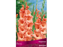 ��������� ��������.jpg