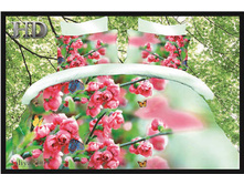 HD Liliya-009 2-�-��������