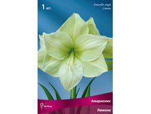 ��������� ������.jpg