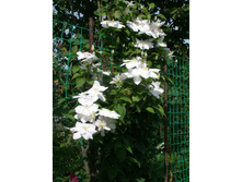 ����� �� ��������*)